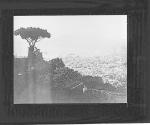 Bird's Eye View of Naples. (Illeg.)