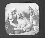 Wounded (Illeg.). Ausdell.