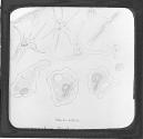 Fig. 4.-Amoeba.