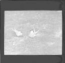 [Untitled]