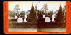 [View of Mt. Hope Cemetery]