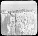 Guillemots on 'Pinnacles', N.W.