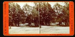 Mt. Hope Cemetery, Maple Avenue