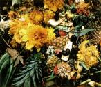 10/3/92 (pineapple)