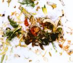 1/15/93 (bananas & red cabbage)