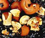 11/10/93 (pumpkins)