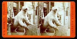 The Great White Bear, State Street