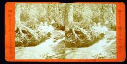 Caldeno Creek