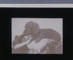 [Little girl and dachshund]