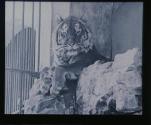 Konigstiger