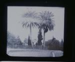 [Untitled]