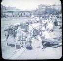 Donkeys & Donkey Boys. Cairo.