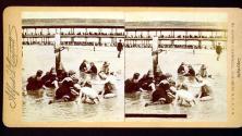 [Group of people playing in the water on the shoreline]