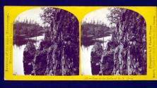 Beauties of the upper Mississippi, Minesota, and Vicinity