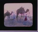 Across the Desert