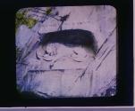 Lion of Lucerne-Switzerland-