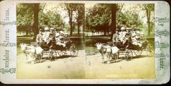 [Goat-pulled carriage with children]