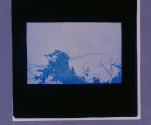 [Untitled]