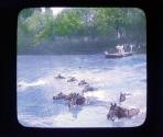 French Cavalry horses swimming river, in Northern France.