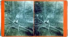 Al. Roberts and his little hatchet