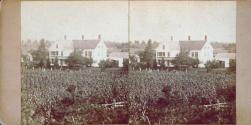 [House and farm field]