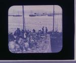Packing Herring - North Sea