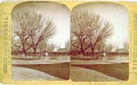 The Plaza