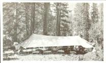 Tent in the woods