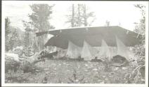 Tent with sleeping nets