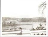 River scene