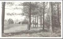 View of Oak Lodge through forest