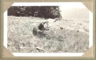 George Eastman and hunting companion kneeling beside dead grizzly bear, Pacific Coast Trip