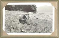 George Eastman and hunting companion kneeling beside dead grizzly bear, Pacific Coast Trip