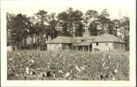 View of Oak Lodge