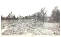 View of  Oak Lodge