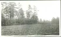 School House Site, Oak Lodge Trip