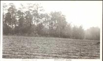 School site, Oak Lodge Trip