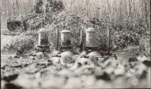 Three water pumps at Oak Lodge