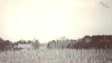 View of Oak Lodge