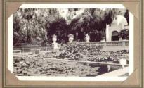 Garden pond, Pacific Coast Trip