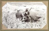 George Eastman and hunting companion beside dead bear, Pacific Coast Trip