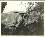 Yosemite Falls, Pacific Coast Trip