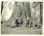 Audley Stewart, Mr. Pye, George Eastman and Mrs. Pye beside Redwood tree, Pacific Coast Trip