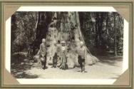 Audley Stewart, Mr. & Mrs. Pye and George Eastman near Redwood in Big Basin Near San Francisco, Pacific Coast Trip