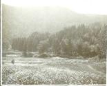 Men in meadow, Grand Cascapedia Trip