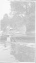 Watson Newhall beside canoes
