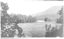View of meadow and river, Grand Cascapedia Trip