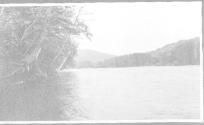View of river, Grand Cascapedia Trip