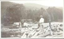 Horse pulling logs, Grand Cascapedia Trip
