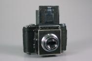 Reflex Korelle